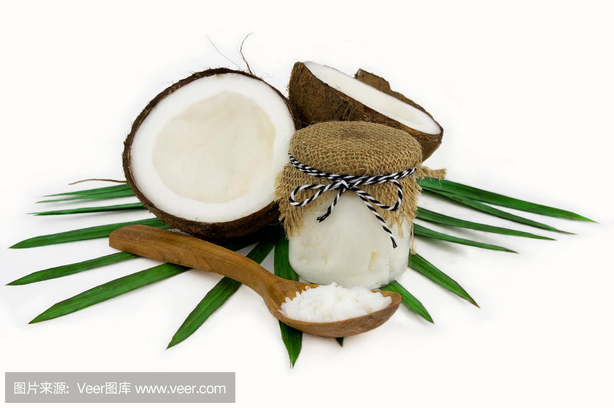 白色背景上的椰子和樹葉